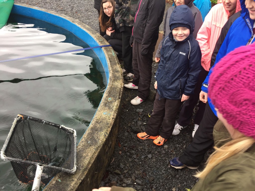 Cong Salmon Hatchery Glencorrib National School